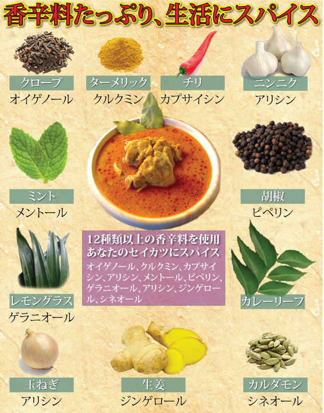 【数量限定】50セット大解放!送料無料訳ありデビルチキンカレー10食セット!!【RCP】